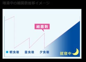 口腔内の細菌数の推移